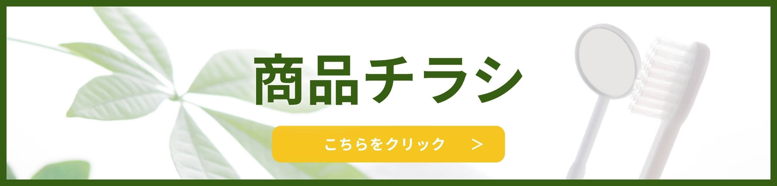 説明文